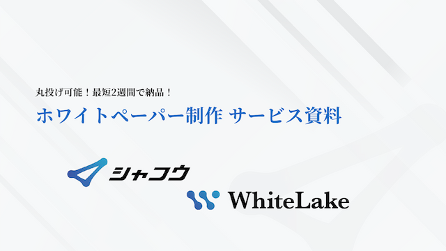 【~12/29まで】ホワイトペーパー制作_サービス資料